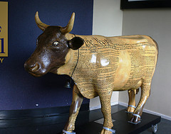 2223118096 405D9eb071 M